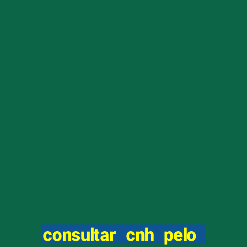 consultar cnh pelo cpf sp